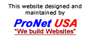 ProNetUSA web site designers, search engine speacialist SEO, video, data base development by ProNet USA logo